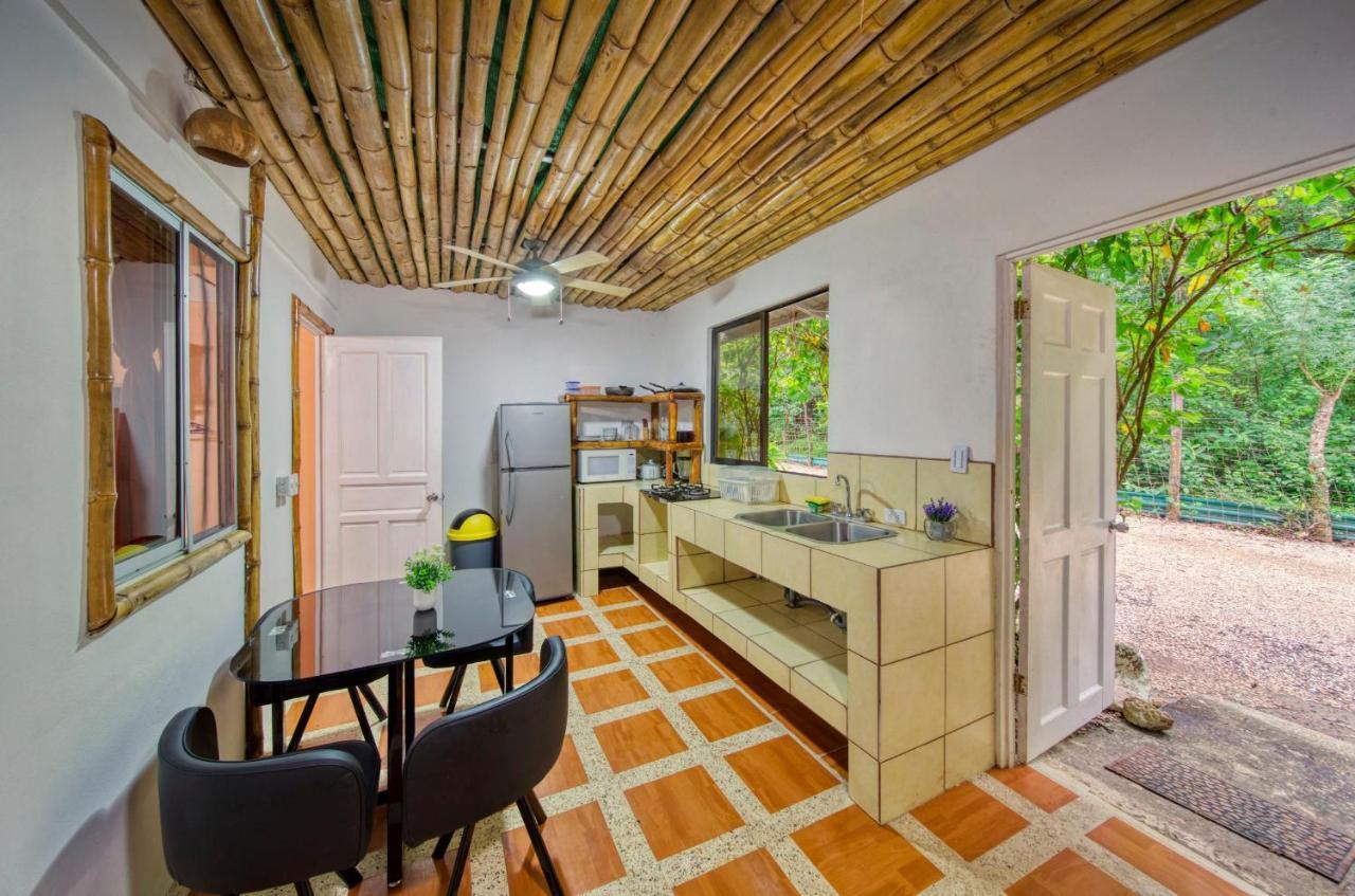 Jungle'S Edge Hotel Nosara Bagian luar foto