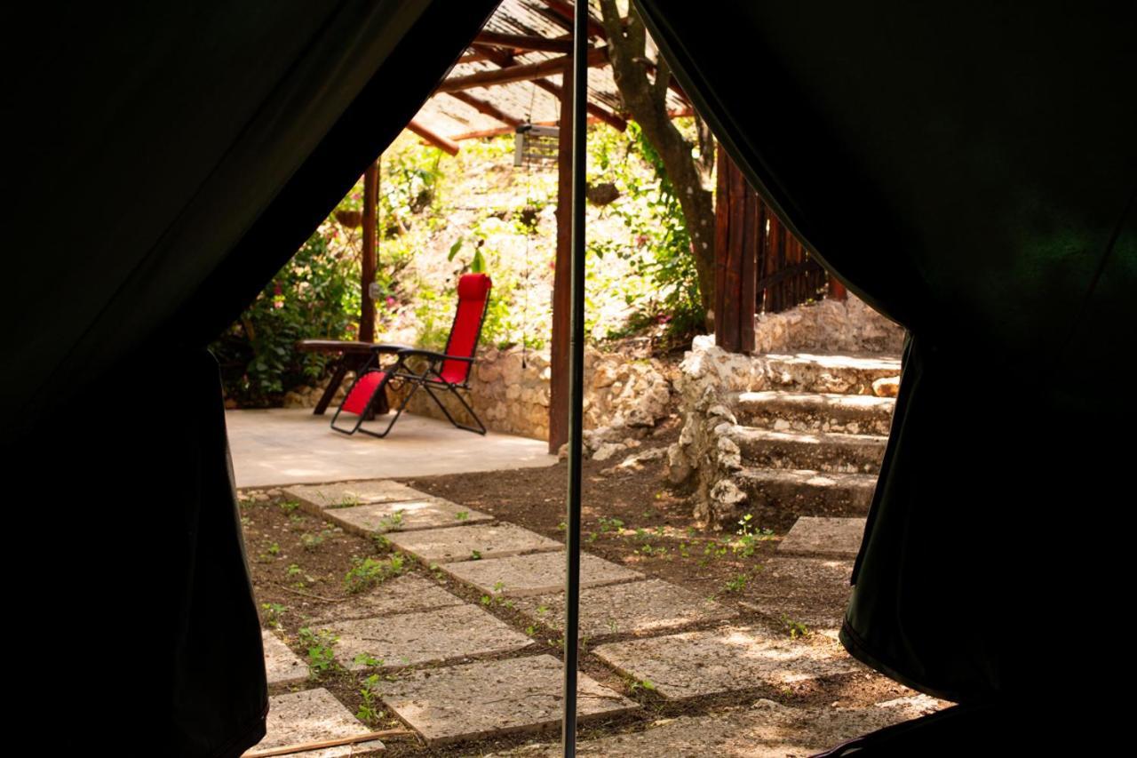 Jungle'S Edge Hotel Nosara Bagian luar foto