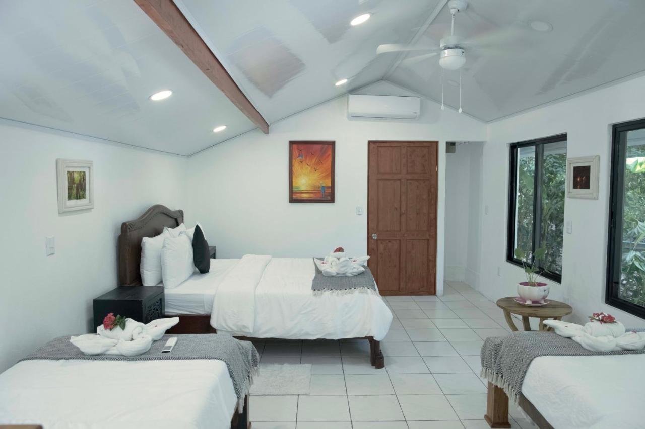 Jungle'S Edge Hotel Nosara Bagian luar foto