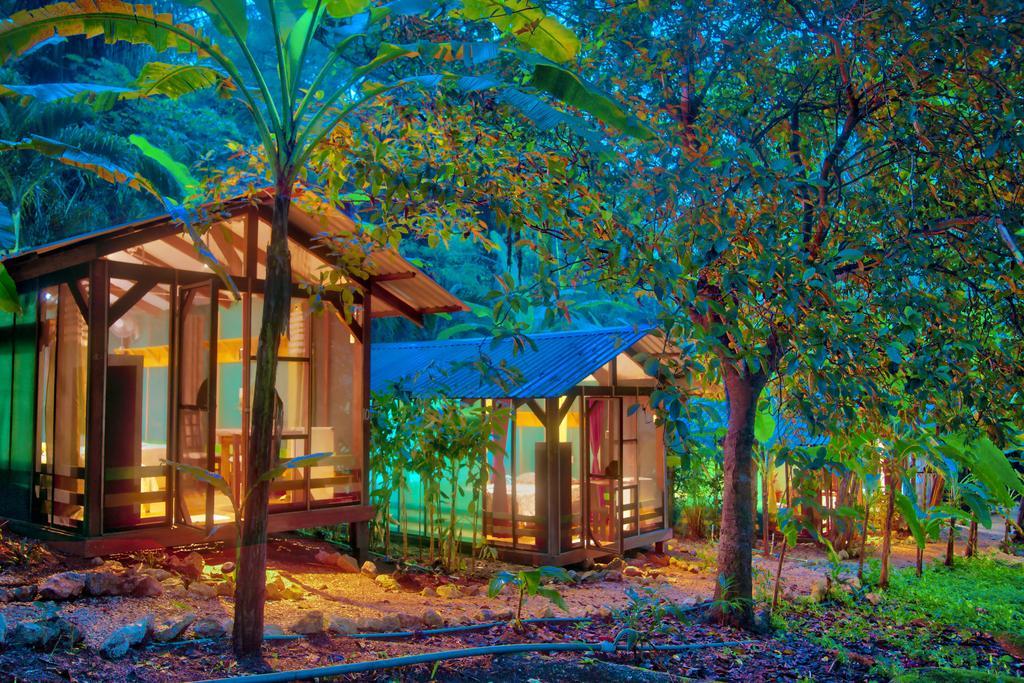 Jungle'S Edge Hotel Nosara Bagian luar foto