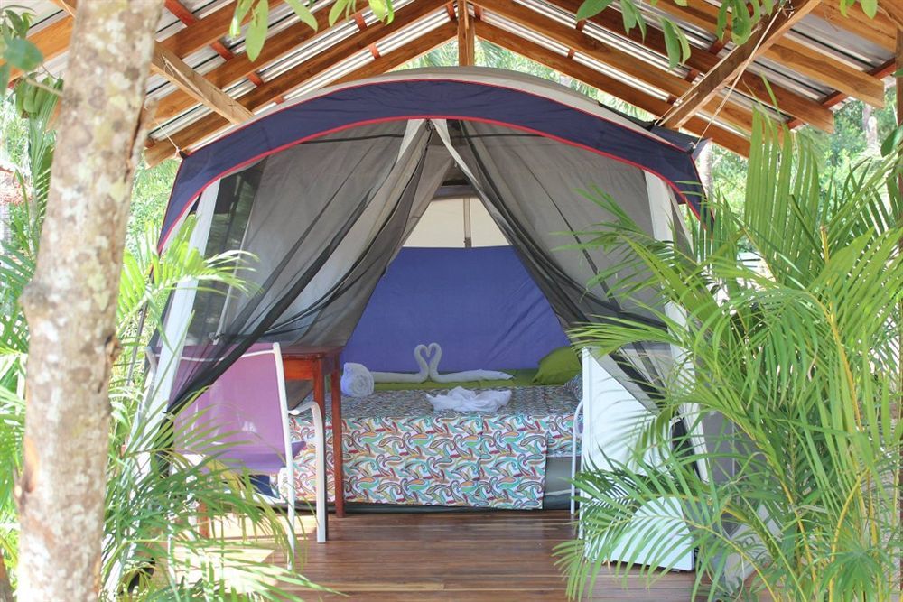 Jungle'S Edge Hotel Nosara Bagian luar foto